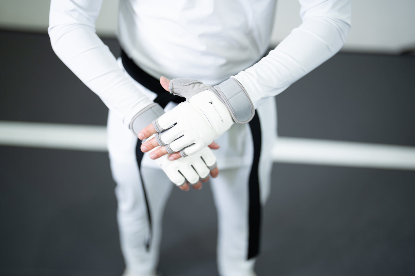 Taekwondo Gloves