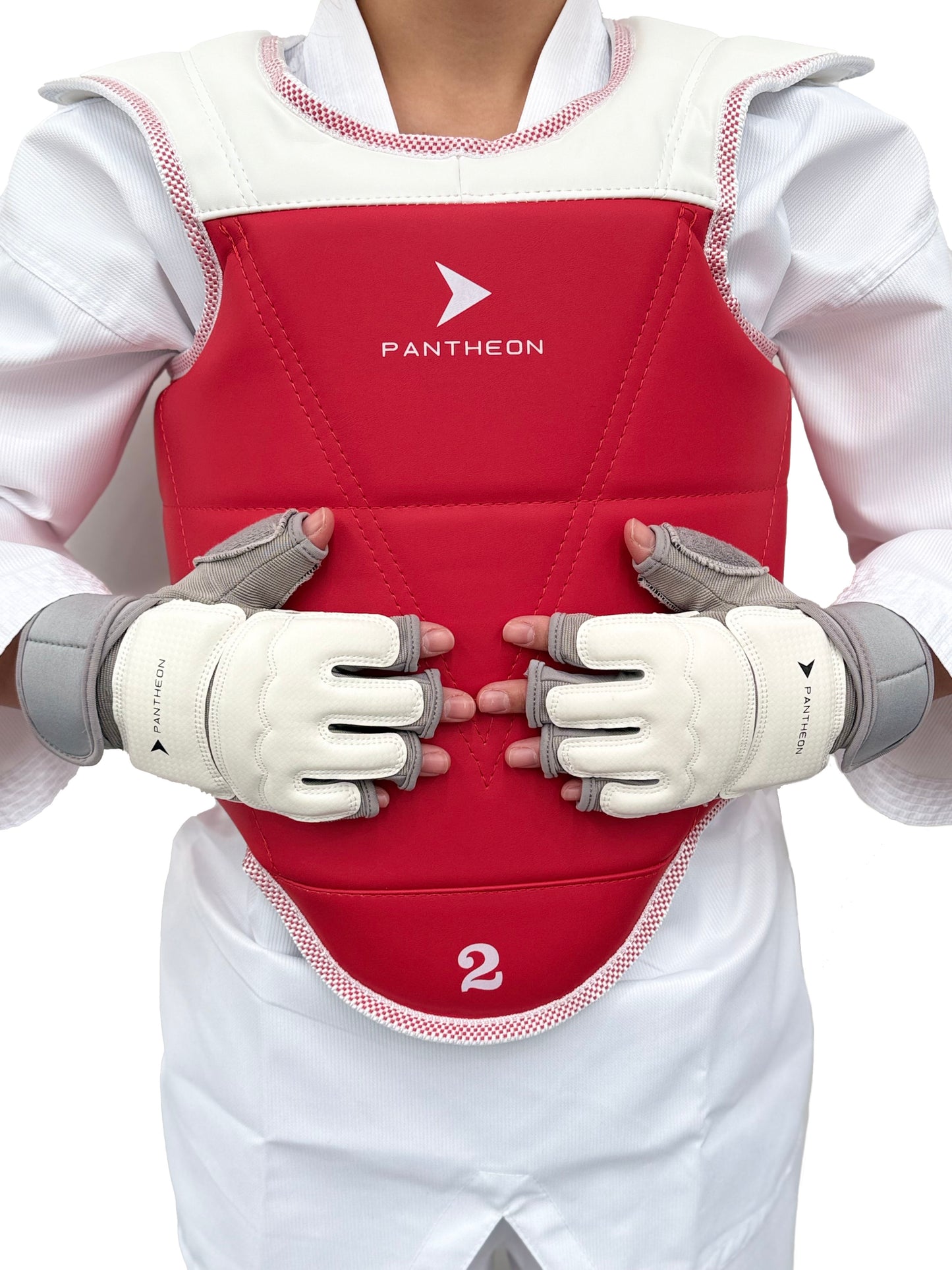 Taekwondo Gloves