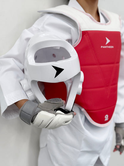 Taekwondo Head Gear