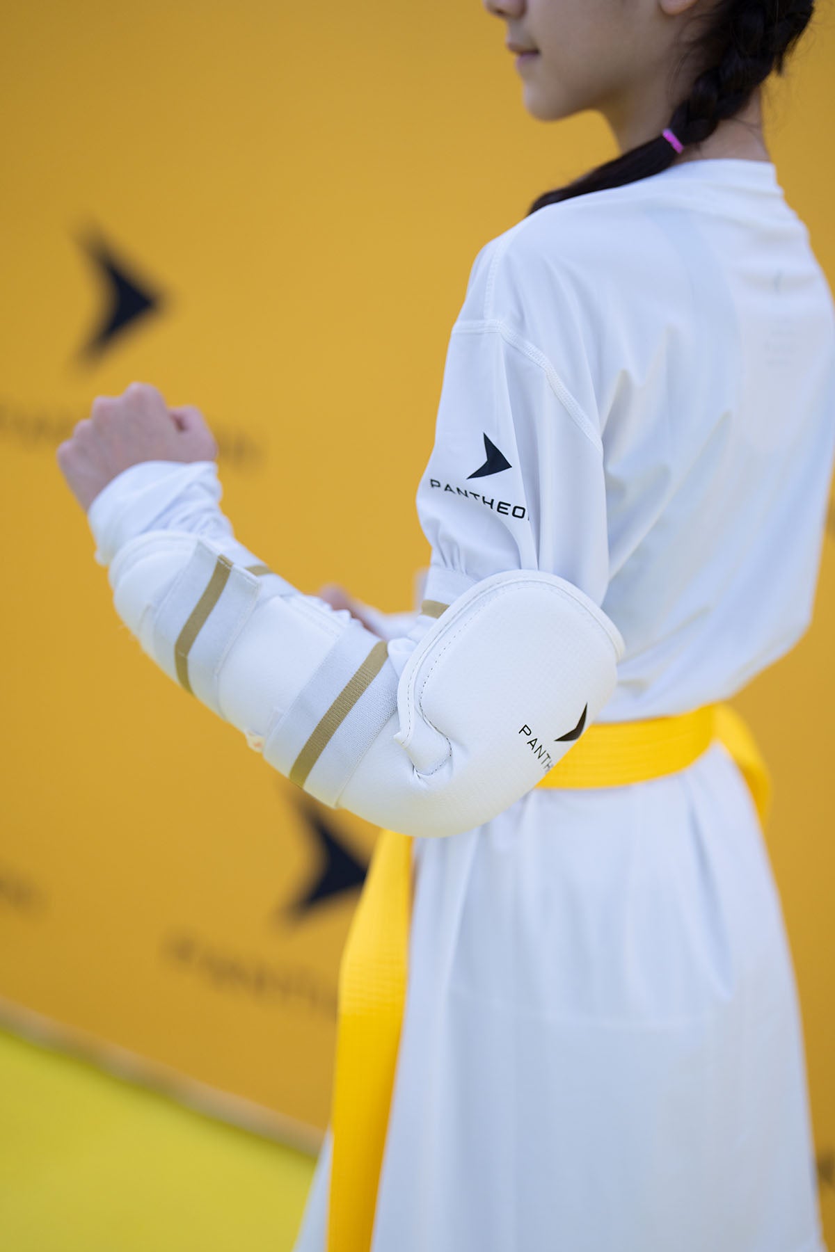 Pantheon Arm & Elbow Guard