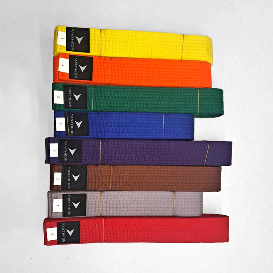 Full Colour Martial Arts Belt