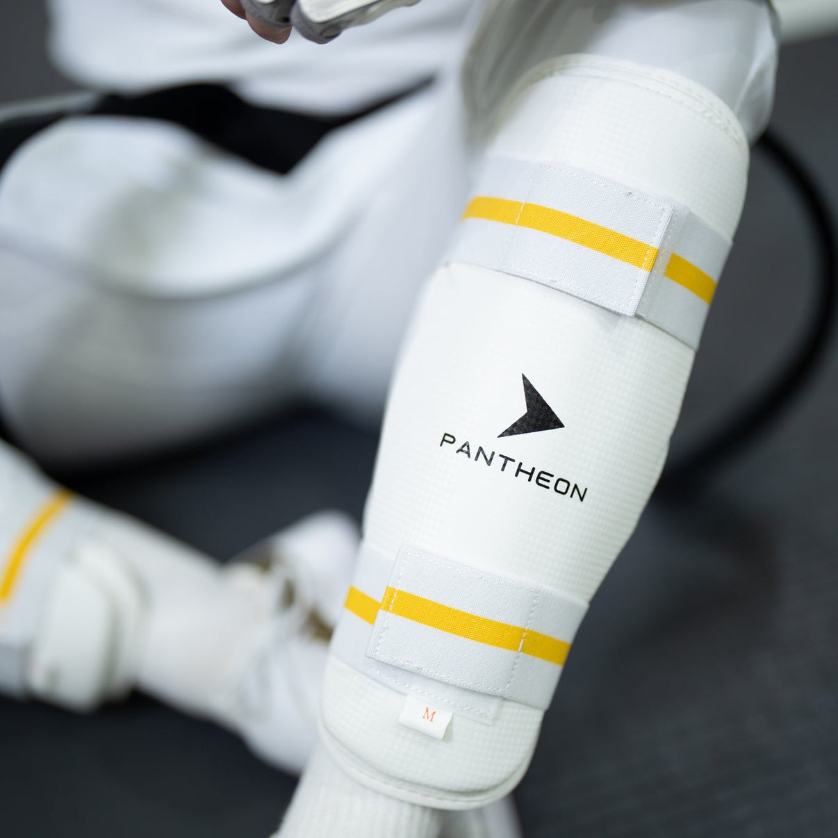 Shin Guard – Pantheon TKD Australia